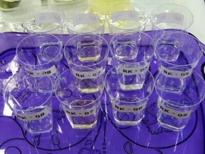 14. Edukacijsko ocjenjivanje kvalitete voćnih rakija i likera u HGK ŽK Osijek