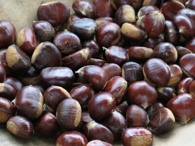 14. Kestenijada u Oprtlju privukla više od nekoliko tisuća posjetitelja