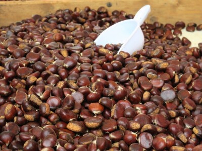 14. Kestenijada u Oprtlju privukla više od nekoliko tisuća posjetitelja