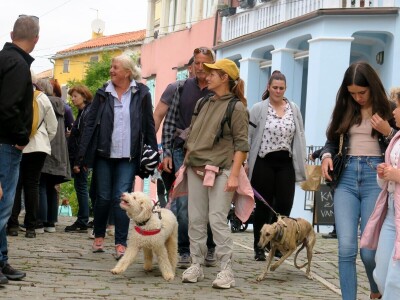 14. Kestenijada u Oprtlju privukla više od nekoliko tisuća posjetitelja