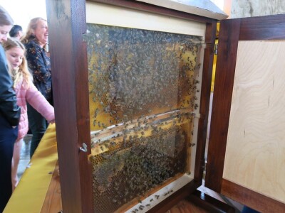 14. Kestenijada u Oprtlju privukla više od nekoliko tisuća posjetitelja