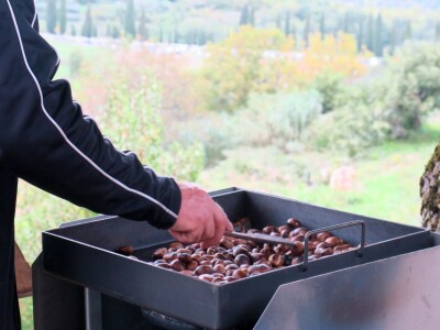 14. Kestenijada u Oprtlju privukla više od nekoliko tisuća posjetitelja