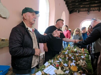 14. Kestenijada u Oprtlju privukla više od nekoliko tisuća posjetitelja