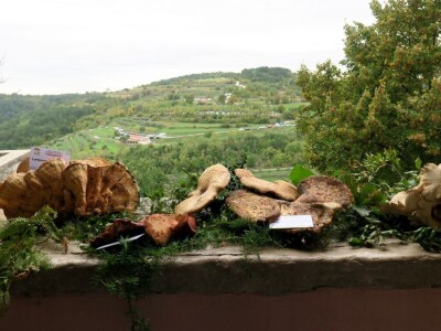 14. Kestenijada u Oprtlju privukla više od nekoliko tisuća posjetitelja