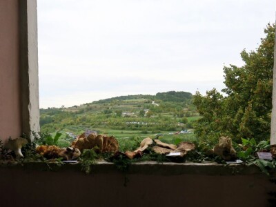 14. Kestenijada u Oprtlju privukla više od nekoliko tisuća posjetitelja