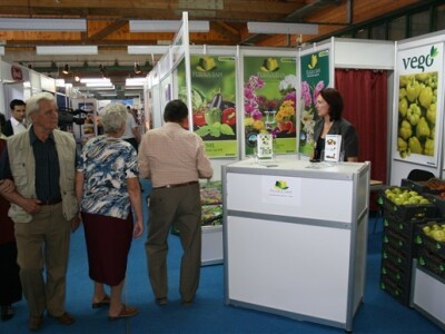 Vego povrće, Osatina