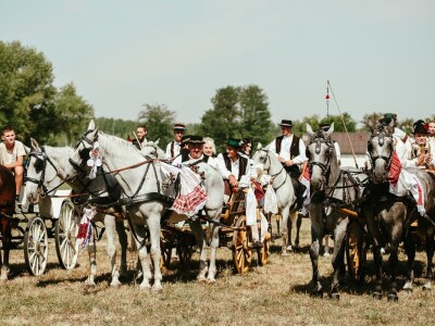 14. smotra svatovskih zaprega