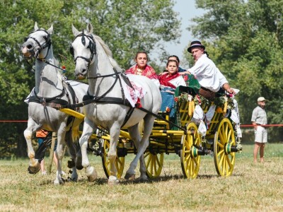 14. smotra svatovskih zaprega