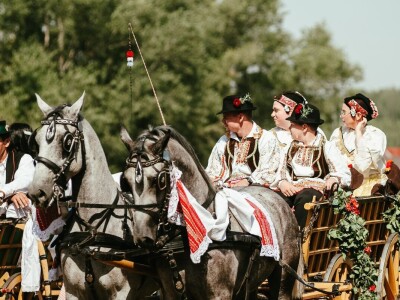 14. smotra svatovskih zaprega