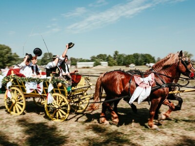 14. smotra svatovskih zaprega