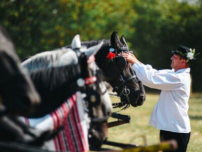 14. smotra svatovskih zaprega