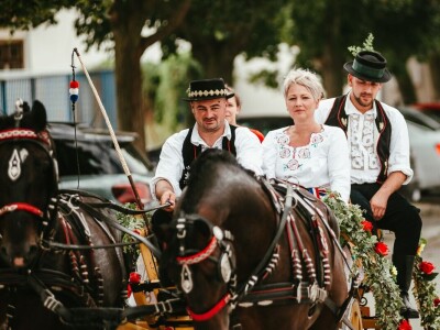 14. smotra svatovskih zaprega