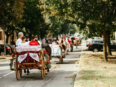 14. smotra svatovskih zaprega
