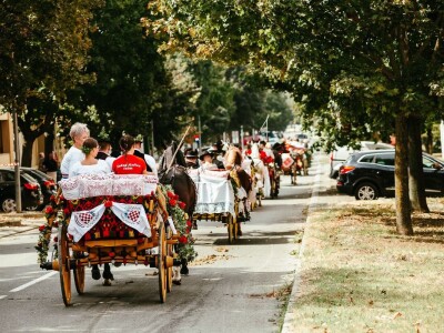 14. smotra svatovskih zaprega