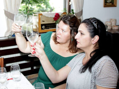 Mirjana Maksimović i Dragana Mladenović