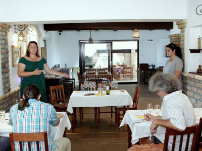 Koja je najbolja voda za špricer?