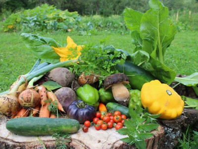 Plodovi iz bašte Centra Plodovi iz bašte Centra