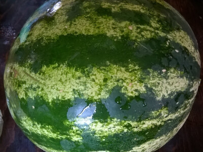 Gazdinstvo Milošević