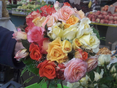 Ruža-kraljica cvijeća