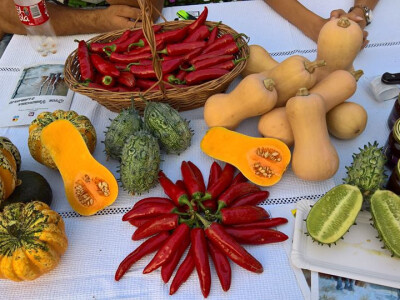 Izvor slike: Tihomir Sotinac Facebook