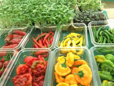 Povrće s gospodarstva Povrće s gospodarstva