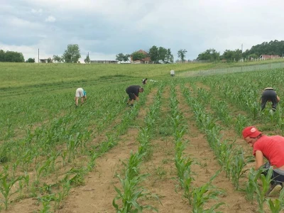 Agrorevolucija - recept za bolji kvalitet mesa