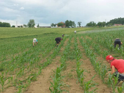 Agrorevolucija - recept za bolji kvalitet mesa Agrorevolucija - recept za bolji kvalitet mesa