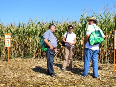 Gosti u razgledavanju pokusnog polja