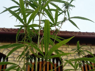 (Izvor Facebook Zvonimir Kalić)