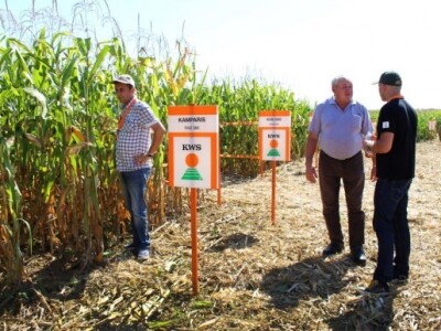 Razgledavanje pokusnog polja