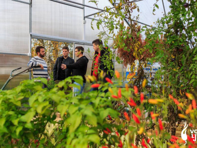 Hedonizam Vrabeca: Volim ljuto Hedonizam Vrabeca: Volim ljuto