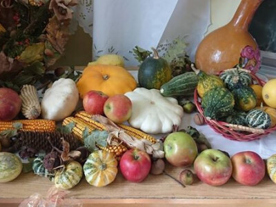 Učeničko zadrugarstvo