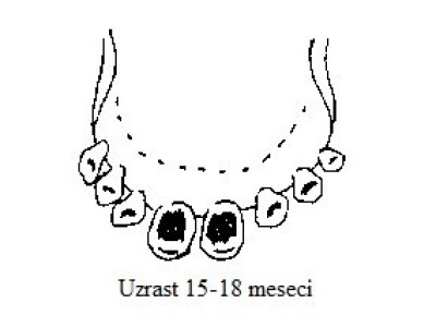 Uzrast 15-18 meseci (izrasli štipci) Uzrast 15-18 meseci (izrasli štipci)