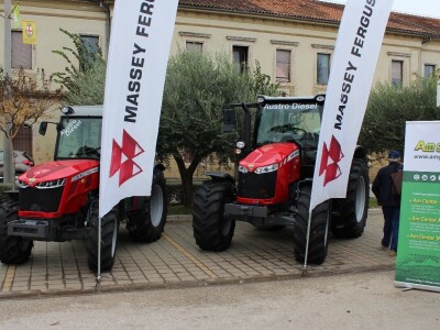 15. Dani mladog maslinovog ulja u Vodnjanu