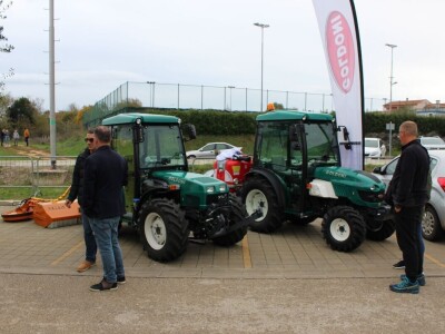 15. Dani mladog maslinovog ulja u Vodnjanu