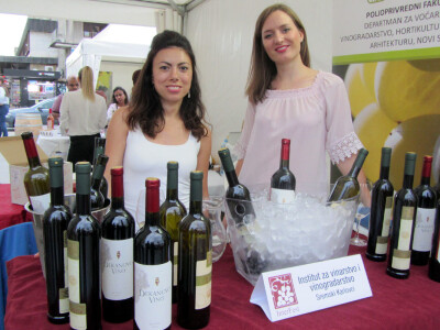 15. Interfest, Novi Sad 15. Interfest, Novi Sad