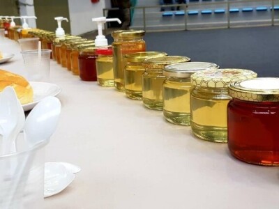 15. međunarodni pčelarski sajam