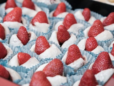 15. ZeGeVege festival