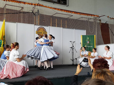 14. Gospodarski sajam - sajam sira u Grubišnom Polju