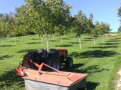 OPG Kovač OPG Kovač