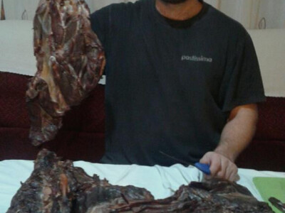 Mala farma Hadžić4