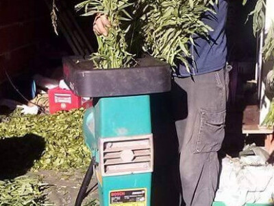 Una bilje iz Bihaća