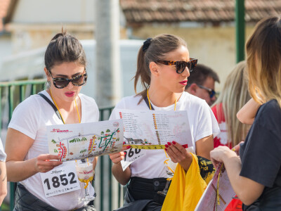 16. Vinski bor maraton