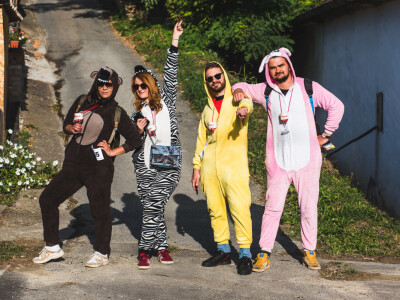 16. Vinski bor maraton