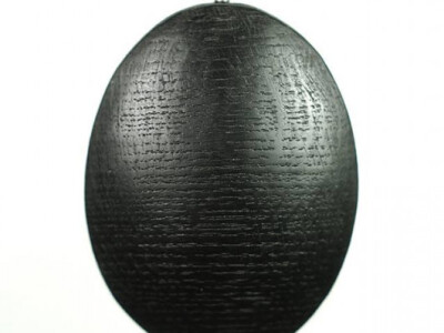 Fosilizirana ogrlica