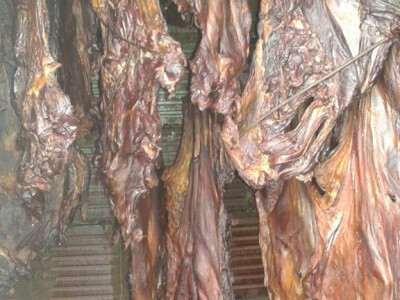 Mala farma Hadžić7