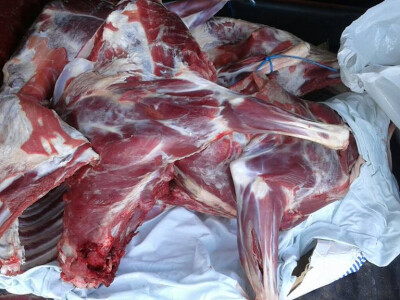 Mala farma Hadžić10