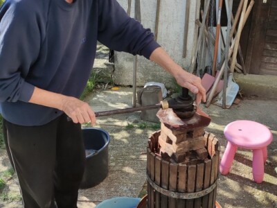 Fermentacija oko nas