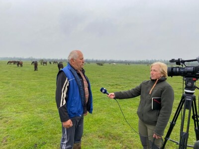 Vesna Mijat Vesna Mijat