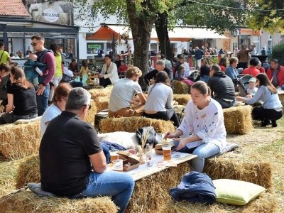 17. Bučijada u Ivanić Gradu